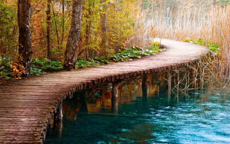 nature, Tree, Reedy, Lake, Wooden, Bridge, Beauty HD Wallpaper Desktop Background