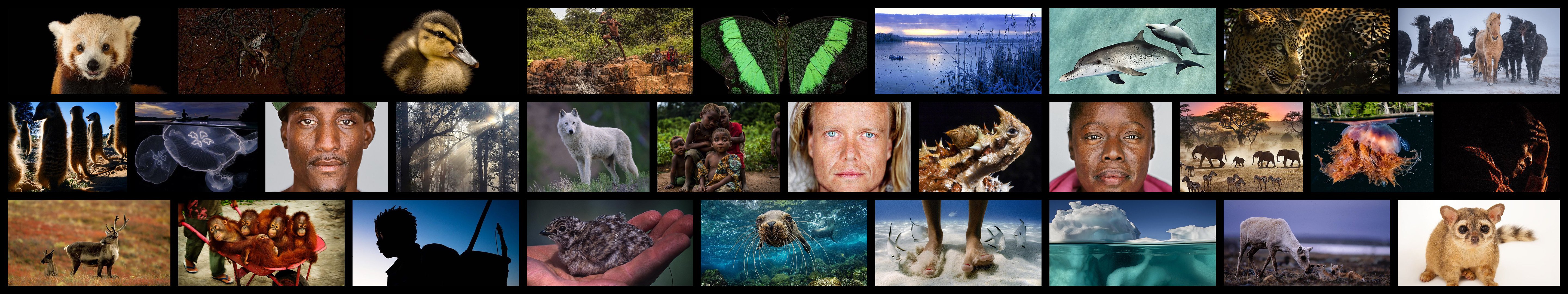 national, Geographic Wallpaper