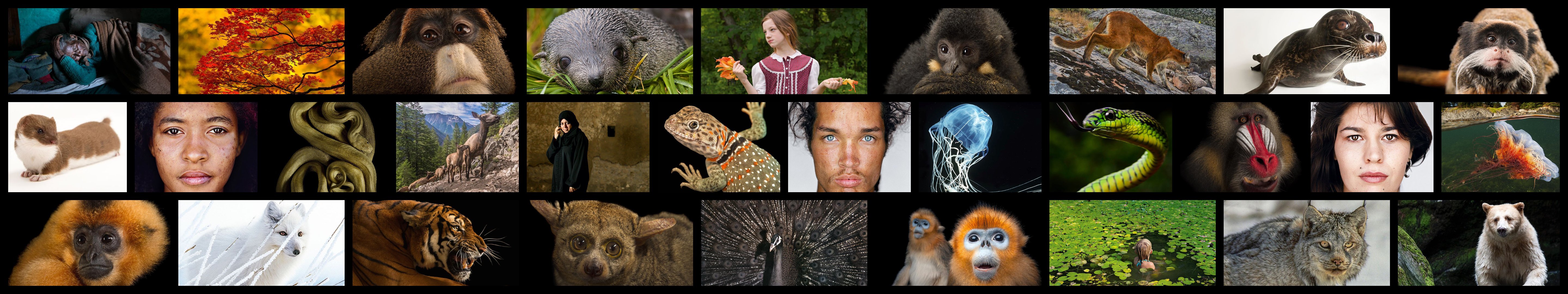 national, Geographic Wallpaper