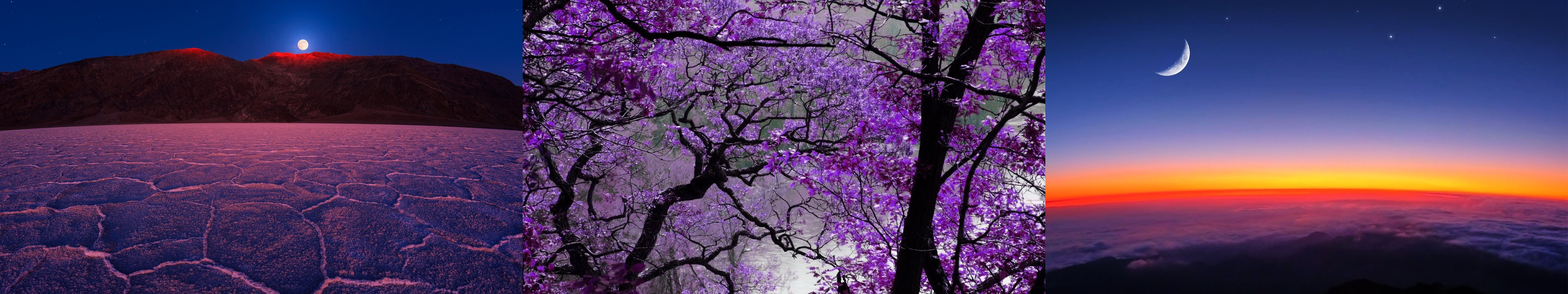 nature, Mauve, Purple Wallpaper