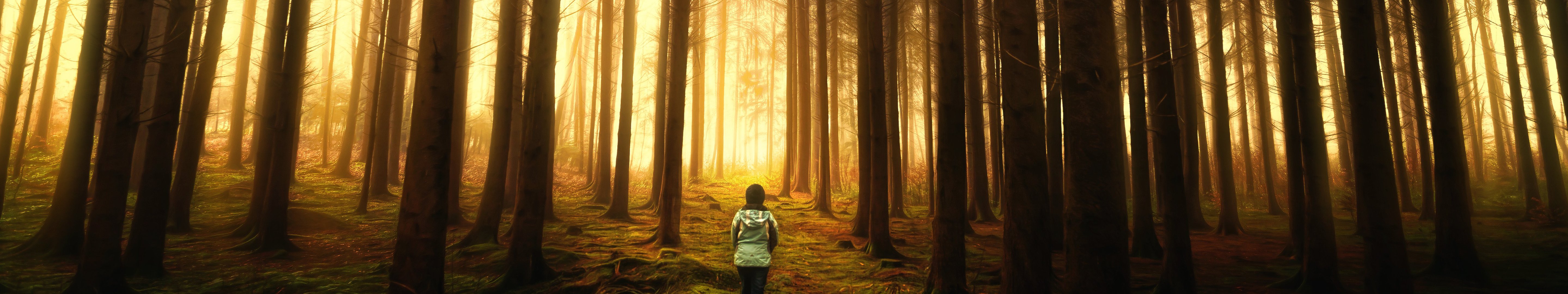 nature, Foret, Forest Wallpaper
