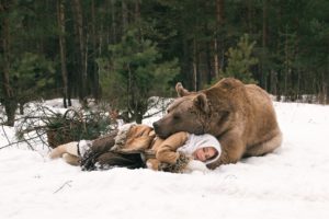 bear, Brown, Bears, Snow, Sleeping, Animals, Girls