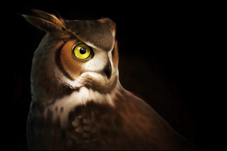 owls, Painting, Art, Black, Background, Animals HD Wallpaper Desktop Background