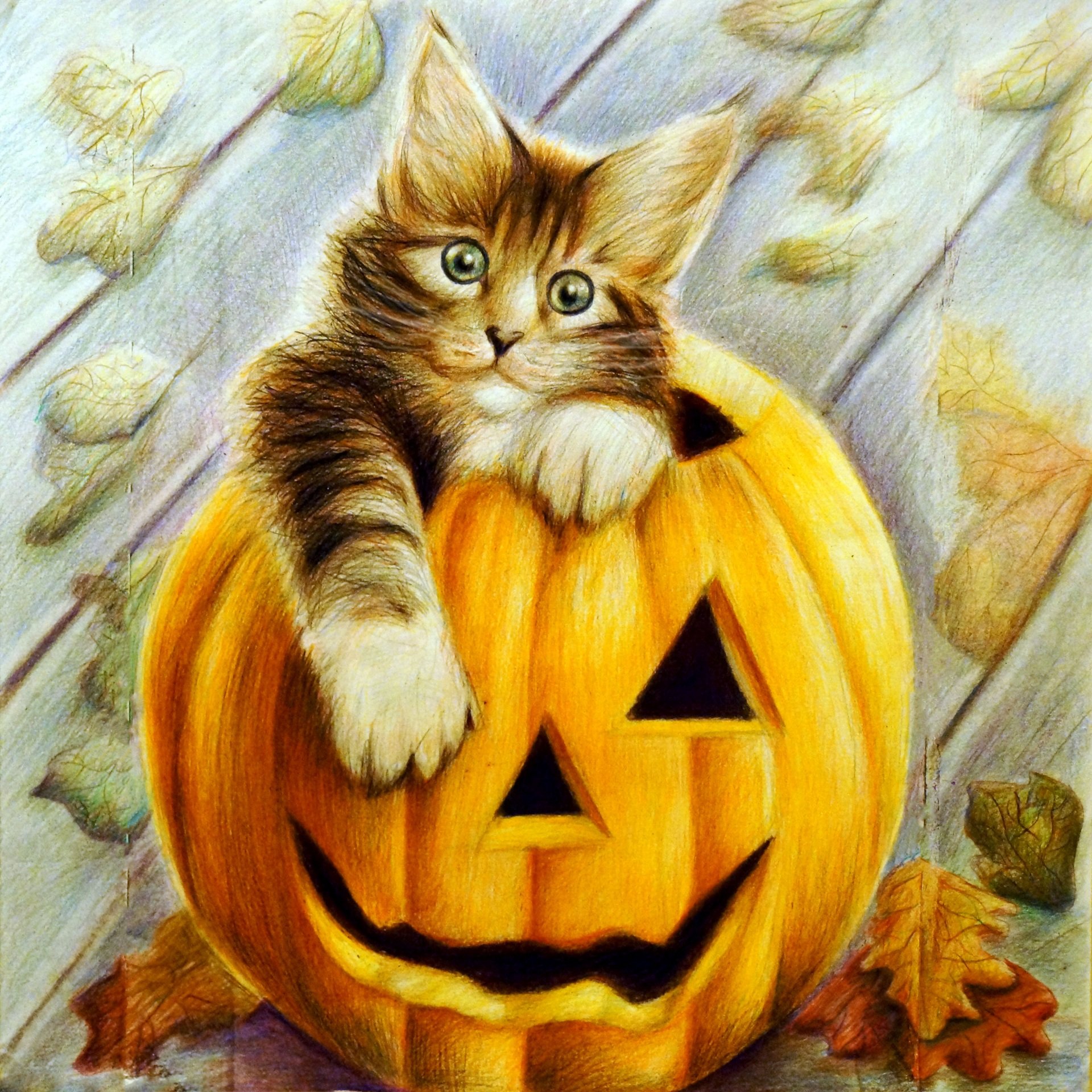 cats, Painting, Art, Halloween, Pumpkin, Animals, Wallpapers Wallpaper