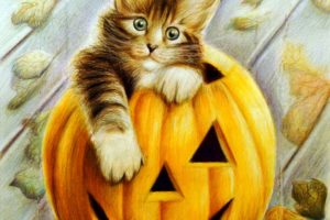 cats, Painting, Art, Halloween, Pumpkin, Animals, Wallpapers