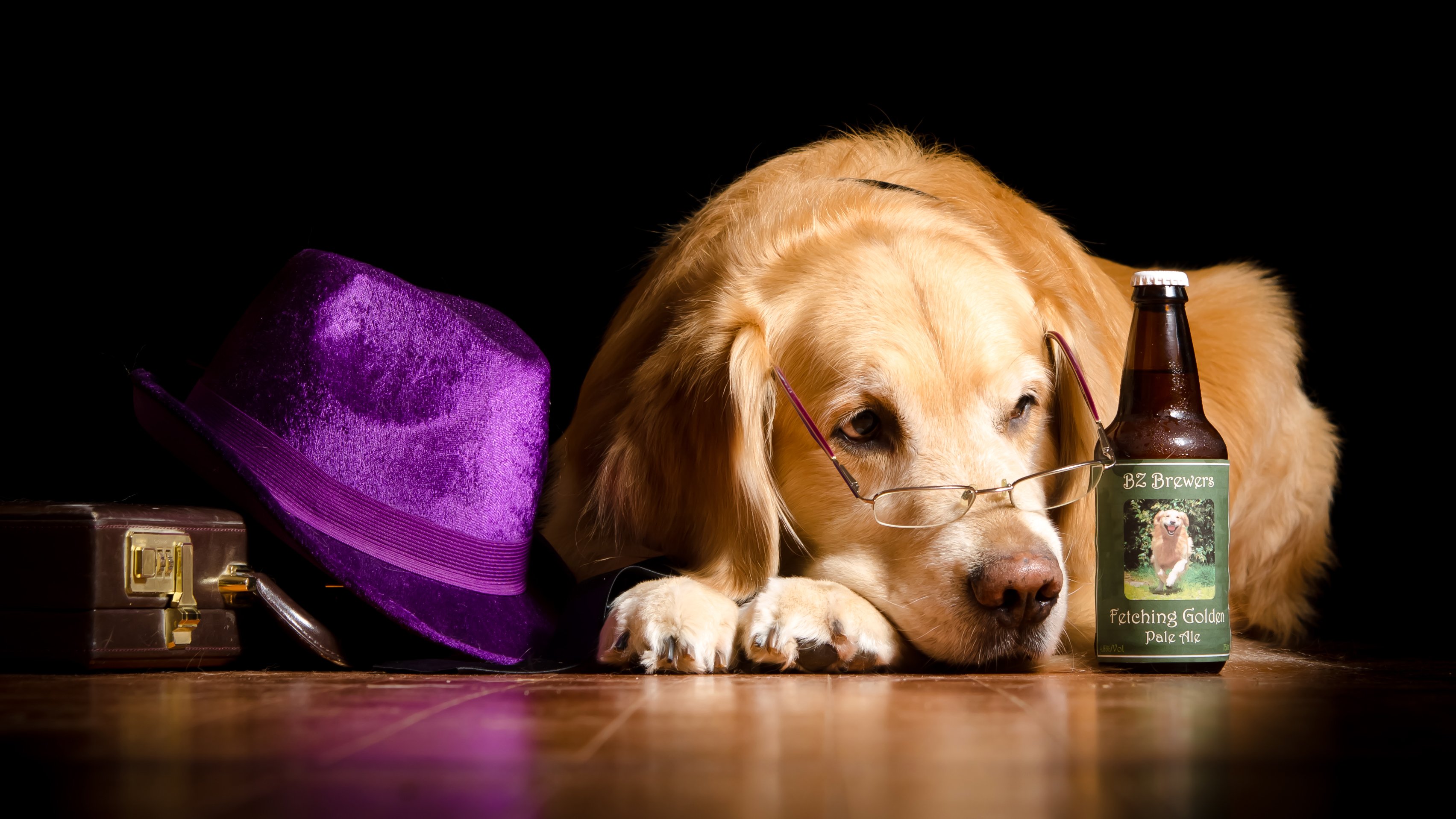 dogs, Beer, Retriever, Bottle, Glasses, Hat, Animals, Wallpapers Wallpaper