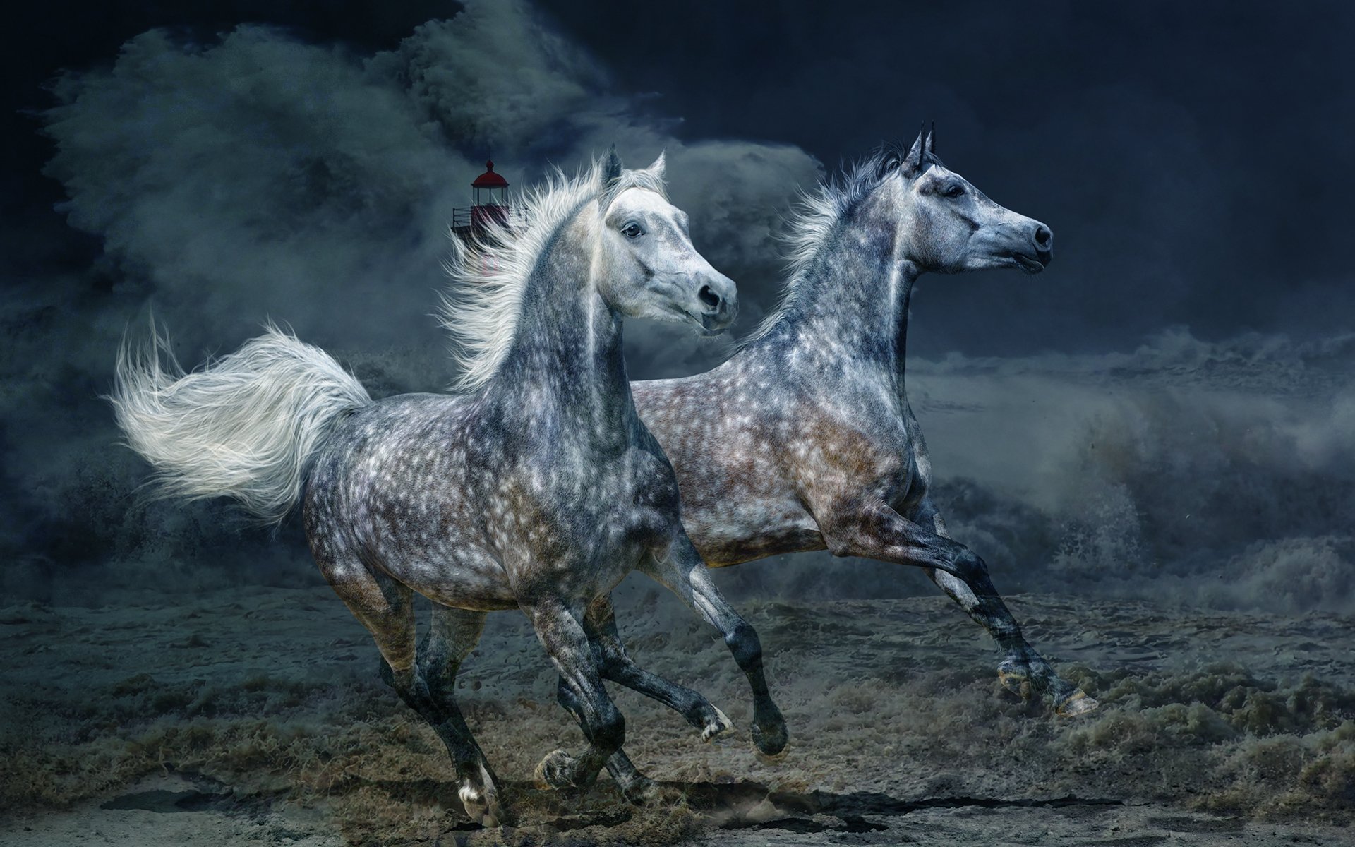 horses, Two, Run, Animals Wallpaper
