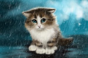 cats, Rain, Fantasy, Animals, Wallpapers
