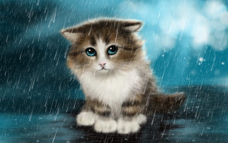 cats, Rain, Fantasy, Animals, Wallpapers HD Wallpaper Desktop Background