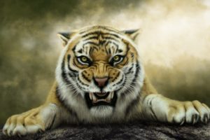 tigers, Painting, Art, Roar, Fantasy, Animals, Wallpapers