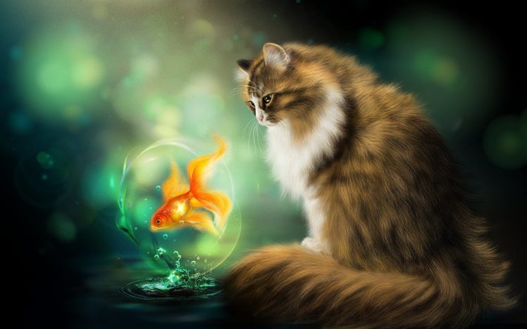 cats, Fish, Painting, Art, Fantasy, Animals, Wallpapers HD Wallpaper Desktop Background