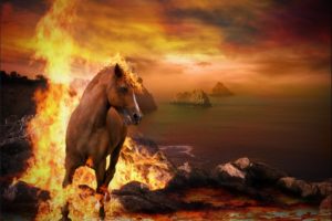 horses, Fire, Animals, Wallpapers