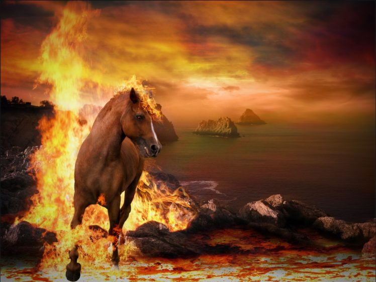 horses, Fire, Animals, Wallpapers HD Wallpaper Desktop Background