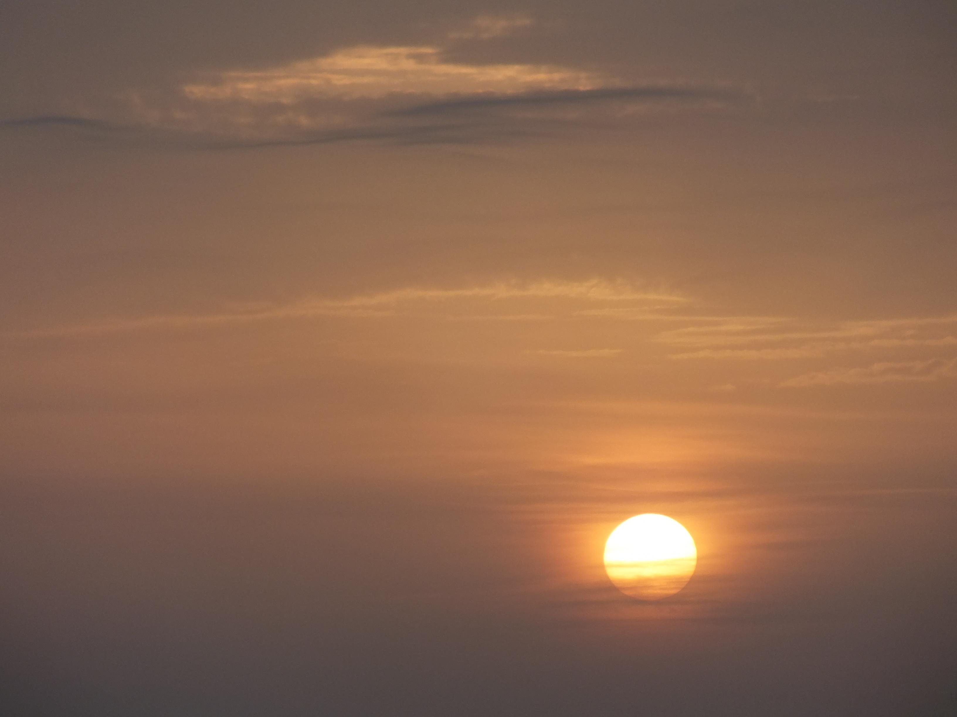 sun Wallpaper