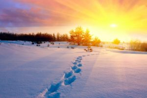 winter, Footprints, Nature, Beauty