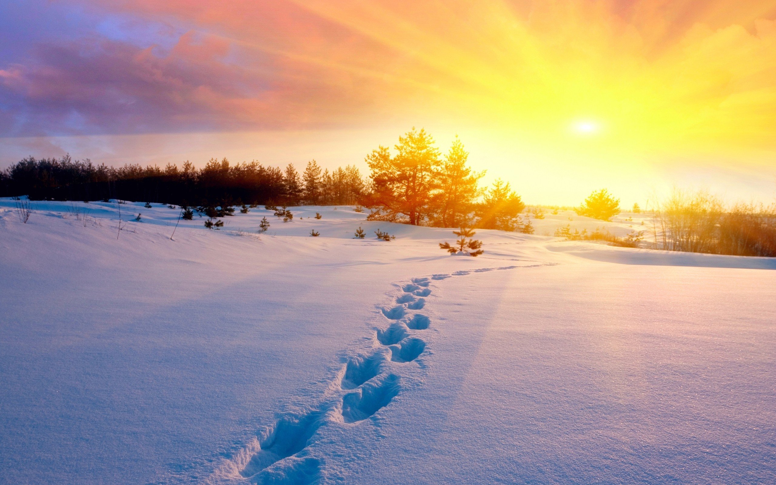 winter, Footprints, Nature, Beauty Wallpaper