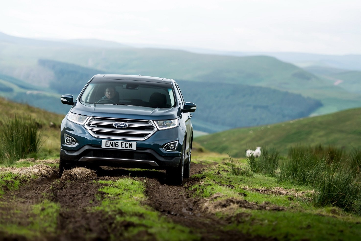 ford, Edge, Uk spec, Cars, Suv, 2016 Wallpaper
