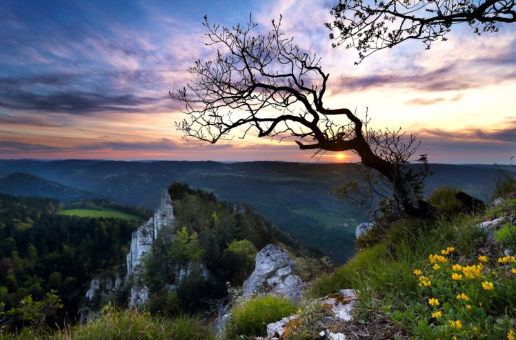 switzerland, Sunset, Mountains, Rocks, Tree HD Wallpaper Desktop Background