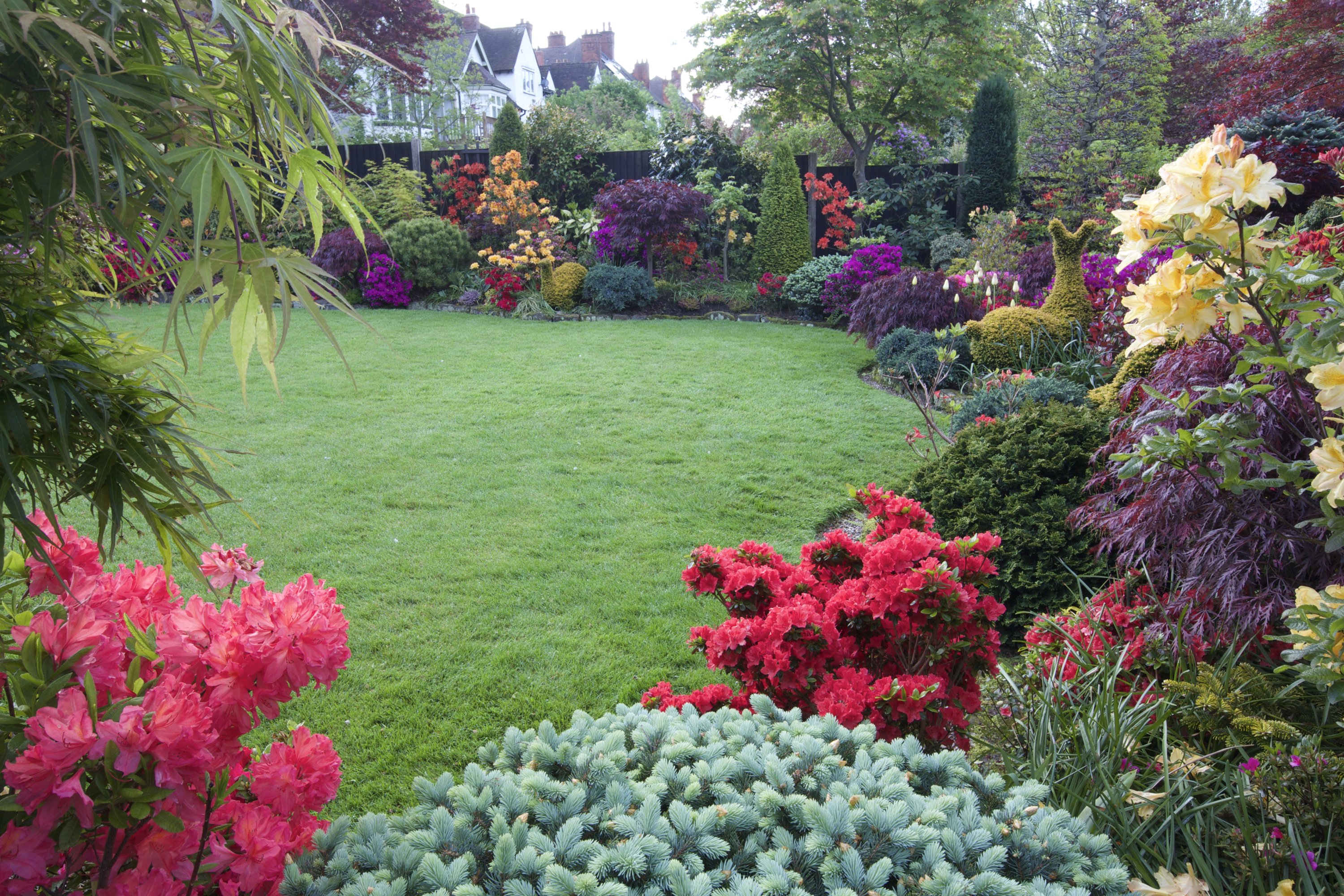 england, Gardens, Rhododendron, Lawn, Shrubs, Walsall, Garden, Nature, Wallpapers Wallpaper