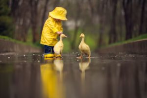 duck, Bird, Child, Wet, Animals