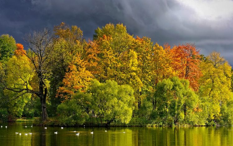 view, Lake, Grass, Leaves, Autumn, Splendor, Beautiful, Water, Trees, Peaceful, Splendor, Beauty, Clouds, Landscape, Autumn, Colors, Nature, Tree, Green, Forest, Birds, Storm, Sky, Woodland, Wood, Autumn, Leave HD Wallpaper Desktop Background