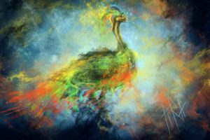 bird, Peacock, Colors, Nebula, Art, Profile, Stars