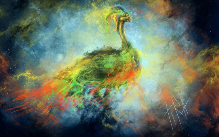 bird, Peacock, Colors, Nebula, Art, Profile, Stars HD Wallpaper Desktop Background