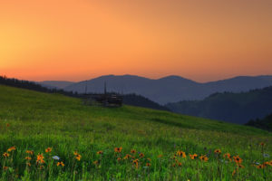 romania, Hills, Sunset, Field, Flowers, Landscape