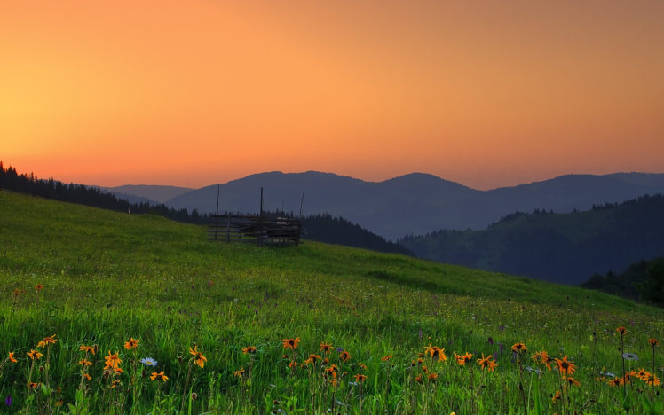 romania, Hills, Sunset, Field, Flowers, Landscape HD Wallpaper Desktop Background