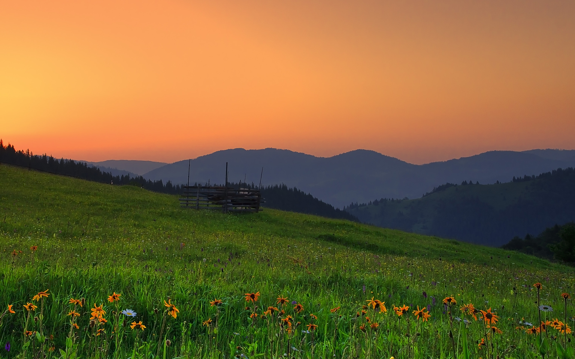 romania, Hills, Sunset, Field, Flowers, Landscape Wallpaper