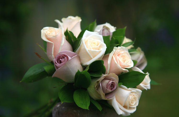 roses, Bouquets, Flower HD Wallpaper Desktop Background