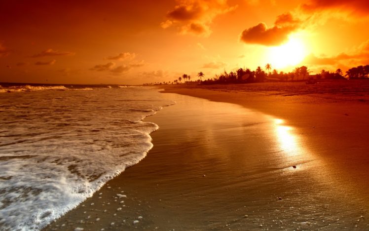 sunrise, Palms, Sea, Beautiful, Nature, Landscape, Water, Sky, Clouds, Scene, Waves, Beach, Sunset HD Wallpaper Desktop Background