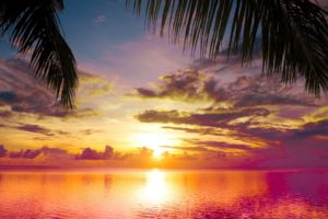 sunset, Palms, Sea, Beautiful, Nature, Landscape, Water, Sky, Clouds, Reflection