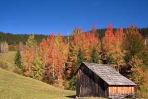 fall, Hills, House, Landscape, Autumn