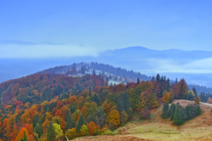 hills, Forest, Autumn, Trees, Landscape
