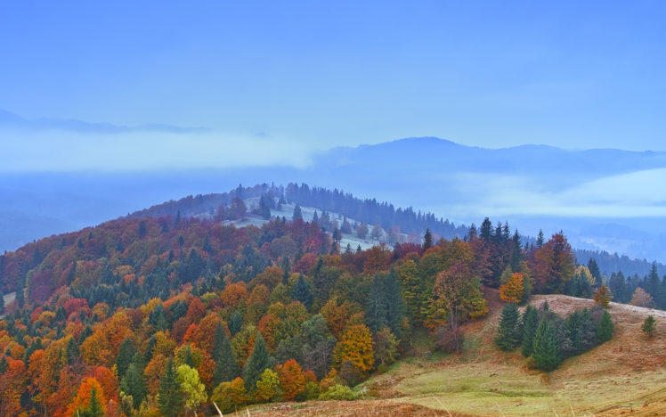 hills, Forest, Autumn, Trees, Landscape HD Wallpaper Desktop Background