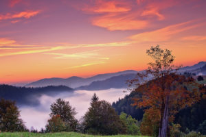 sunset, Mountains, Trees, Fall, Landscape, Autumn, Fog, Sunrise