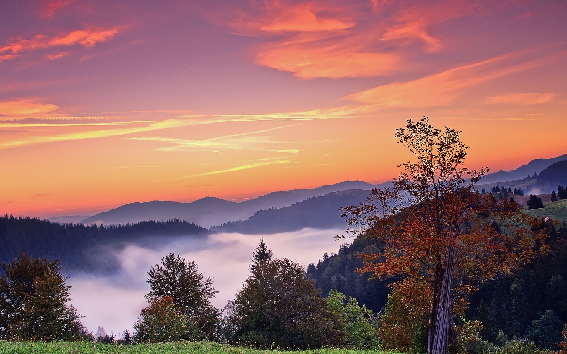 sunset, Mountains, Trees, Fall, Landscape, Autumn, Fog, Sunrise Wallpaper