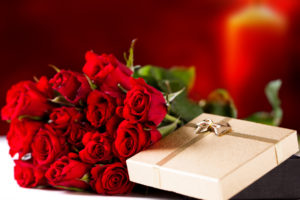 holiday, Flowers, Gift, Roses, Red, Roses, Bouquet