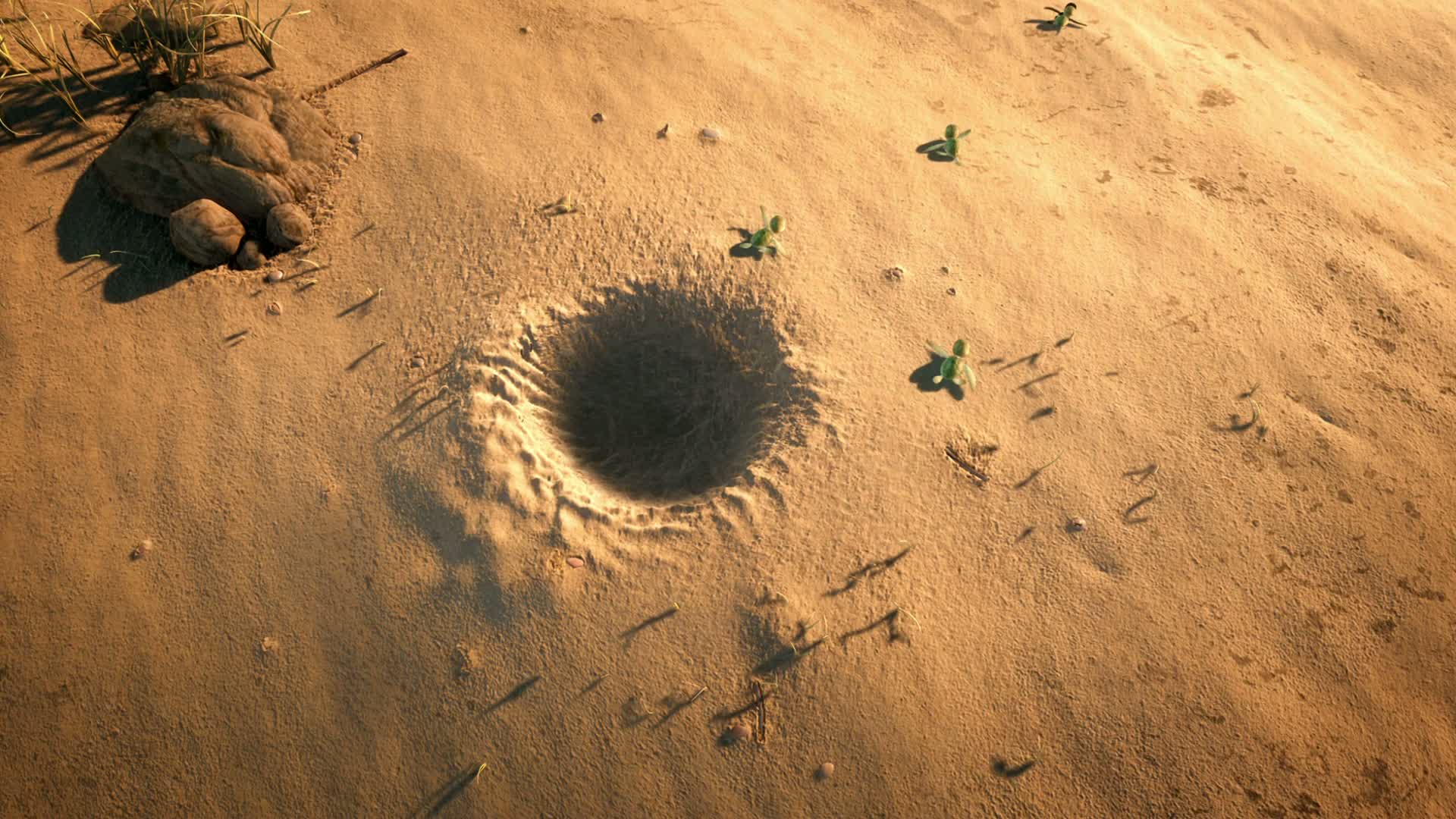 a, Turtles, Tale, Sammys, Adventures, Gg Wallpaper