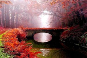 fog, Park, Bridge, Autumn, River