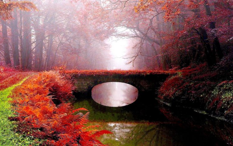fog, Park, Bridge, Autumn, River HD Wallpaper Desktop Background