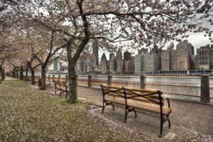 river, Gums, Beach, Waterfront, Us, Roosevelt, Island, City, Ny, New, York