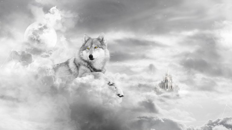 art, Wolf, White, Castle HD Wallpaper Desktop Background