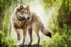 gray wolf painting wallpaper