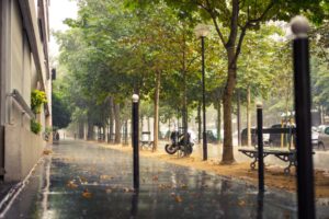 rain, City, Sidewalk, Paris, Paris, France, France, Street