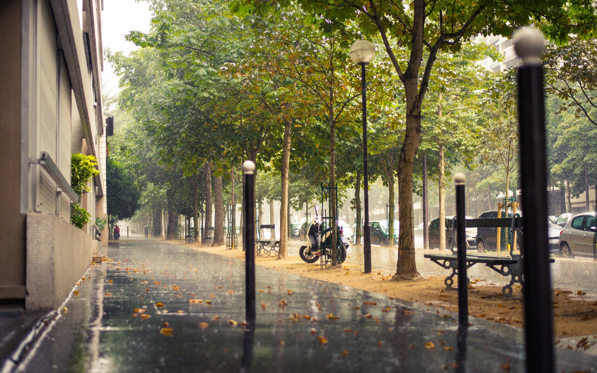 rain, City, Sidewalk, Paris, Paris, France, France, Street Wallpaper