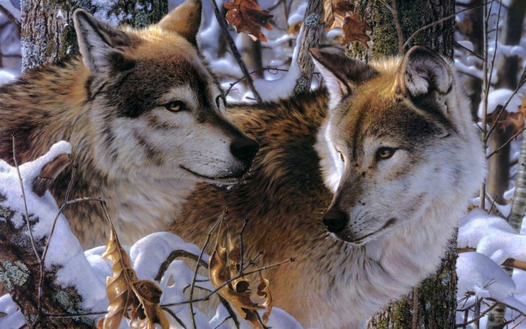 wolves, Snow, Jay, Kemp, Art HD Wallpaper Desktop Background