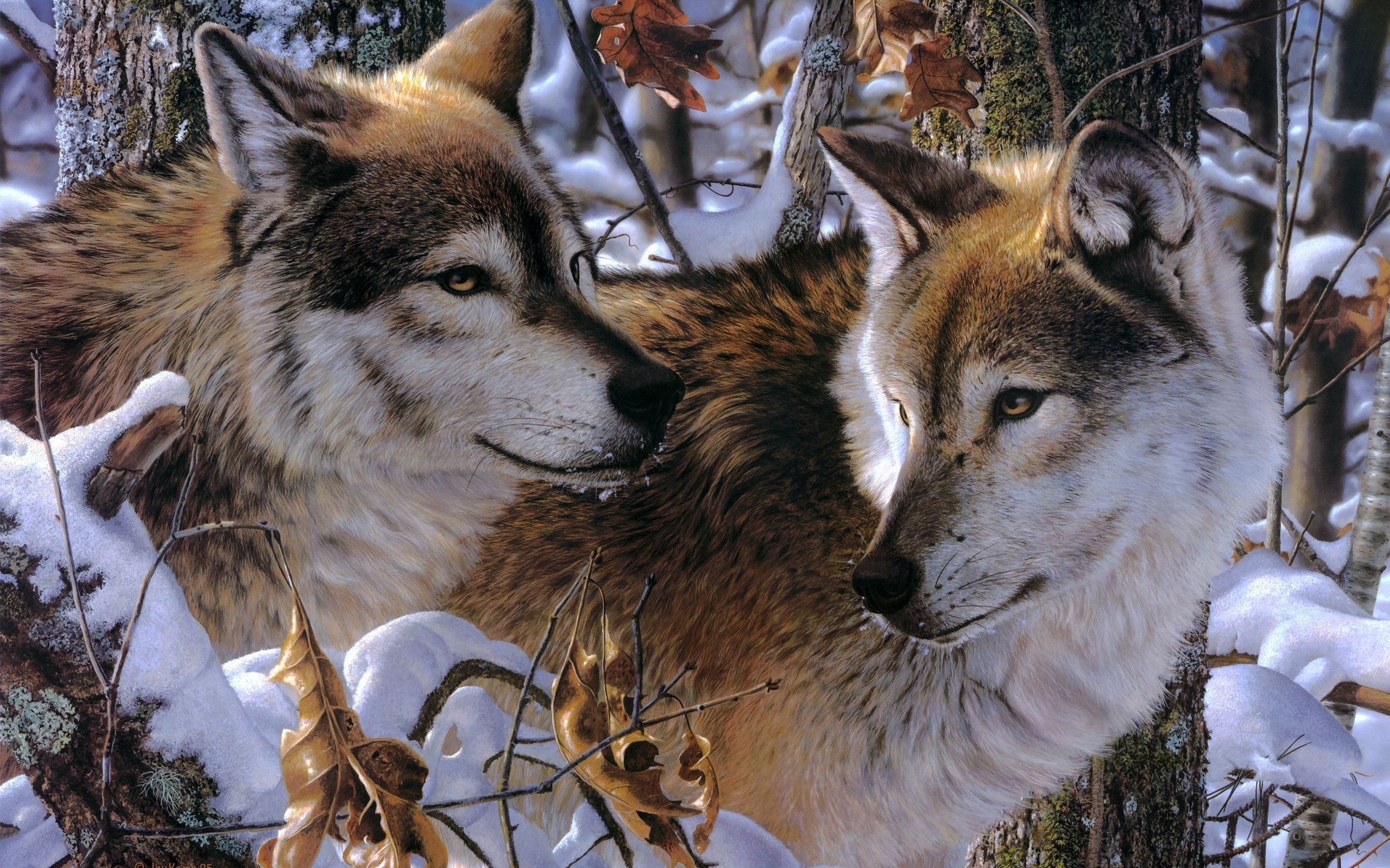 wolves, Snow, Jay, Kemp, Art Wallpaper