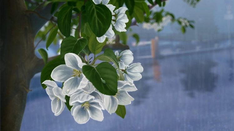tree, Drops, Flowers, Art, Rain, White, Apple, Drawing HD Wallpaper Desktop Background